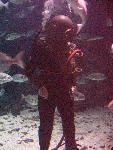 IMG_5104 IMG_5104