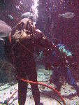IMG_5105 IMG_5105