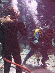 IMG_5106 IMG_5106