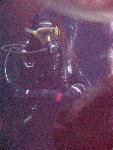 IMG_5109 IMG_5109