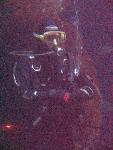 IMG_5110 IMG_5110