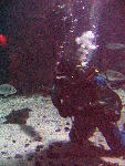 IMG_5112 IMG_5112