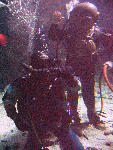 IMG_5114 IMG_5114