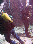 IMG_5116 IMG_5116