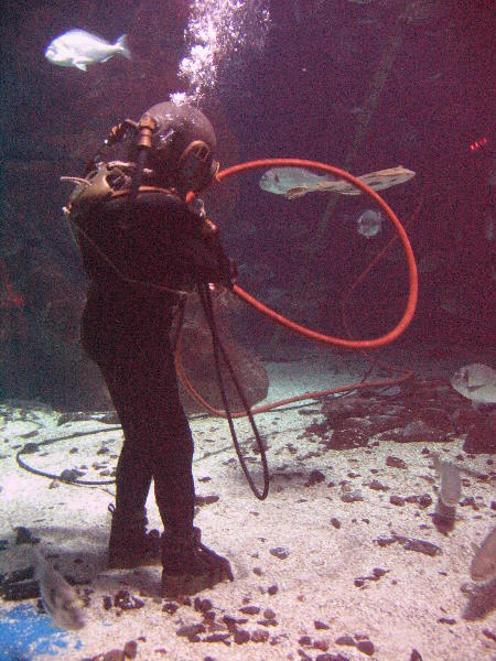 IMG_5117