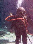 IMG_5119 IMG_5119