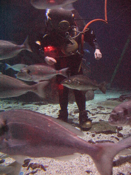 IMG_5145