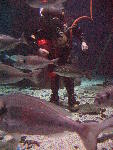 IMG_5145 IMG_5145
