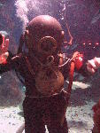 IMG_5146 IMG_5146