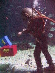 IMG_5147 IMG_5147