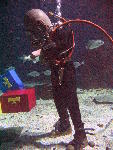 IMG_5149 IMG_5149