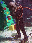 IMG_5150 IMG_5150