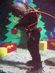 IMG_5151 IMG_5151