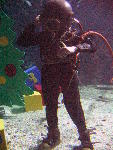 IMG_5152 IMG_5152