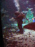 IMG_5154 IMG_5154