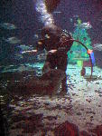IMG_5155 IMG_5155