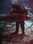 IMG_5156 IMG_5156