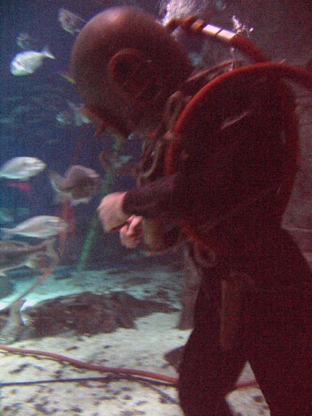 IMG_5157