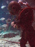 IMG_5157 IMG_5157