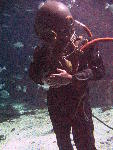 IMG_5158 IMG_5158