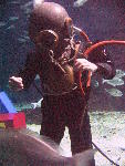 IMG_5160 IMG_5160