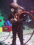 IMG_5162 IMG_5162