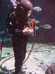 IMG_5163 IMG_5163