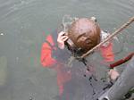 DSCN0223 DSCN0223