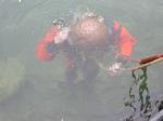 DSCN0225 DSCN0225