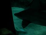 DSCN0143 DSCN0143