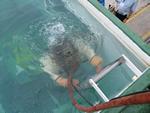 IMG_4782 IMG_4782