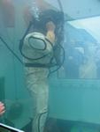 IMG_4784 IMG_4784