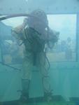 IMG_4790 IMG_4790