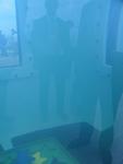 IMG_4791 IMG_4791
