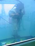 IMG_4792 IMG_4792