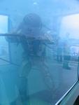 IMG_4794 IMG_4794