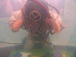 IMG_4804 IMG_4804