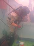 IMG_4810 IMG_4810