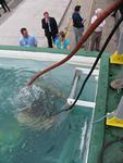 IMG_4812 IMG_4812