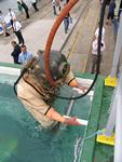 IMG_4814 IMG_4814