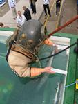 IMG_4863 IMG_4863