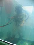 IMG_4871 IMG_4871