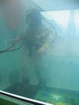 IMG_4872 IMG_4872