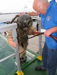 IMG_4873 IMG_4873