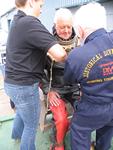 IMG_4720 IMG_4720
