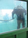 IMG_4762 IMG_4762