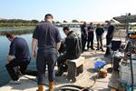 IMG_8169 IMG_8169