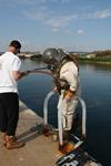 IMG_8204 IMG_8204