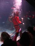 IMG_2373 IMG_2373