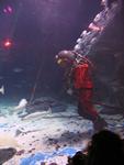 IMG_2374 IMG_2374